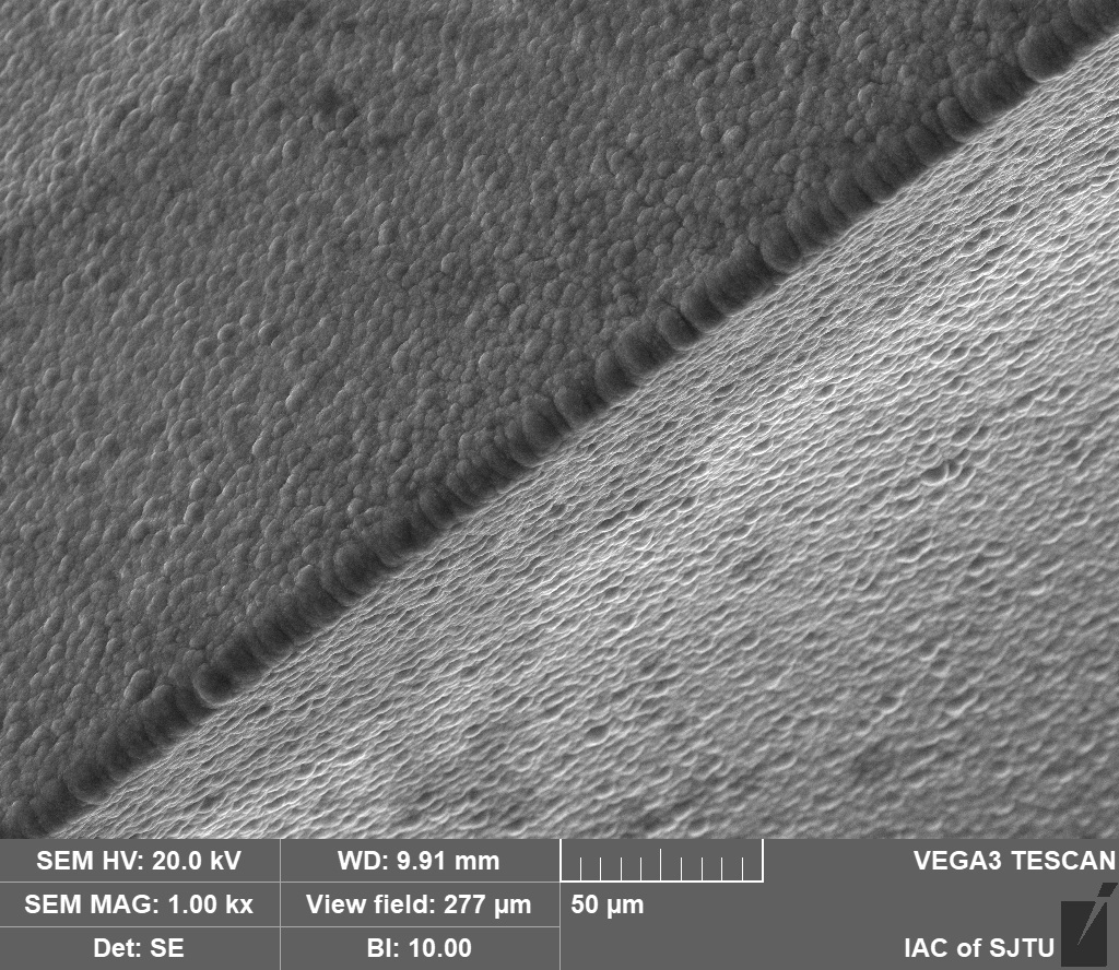 CVD Diamond Coating SEM